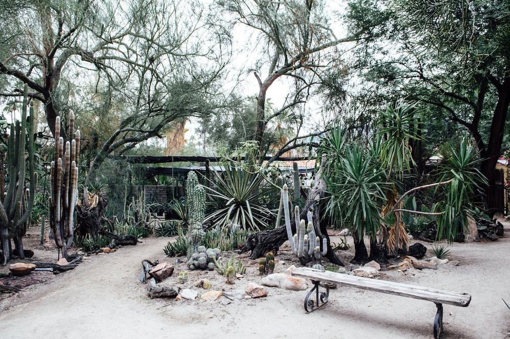 Desert Lodge Palm Springs Buitenkant foto