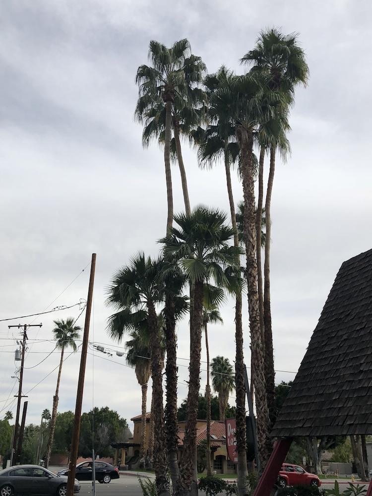 Desert Lodge Palm Springs Buitenkant foto