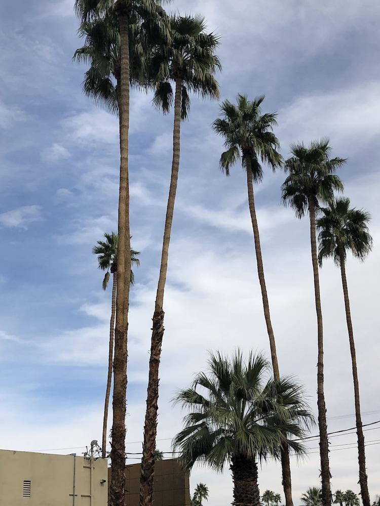 Desert Lodge Palm Springs Buitenkant foto