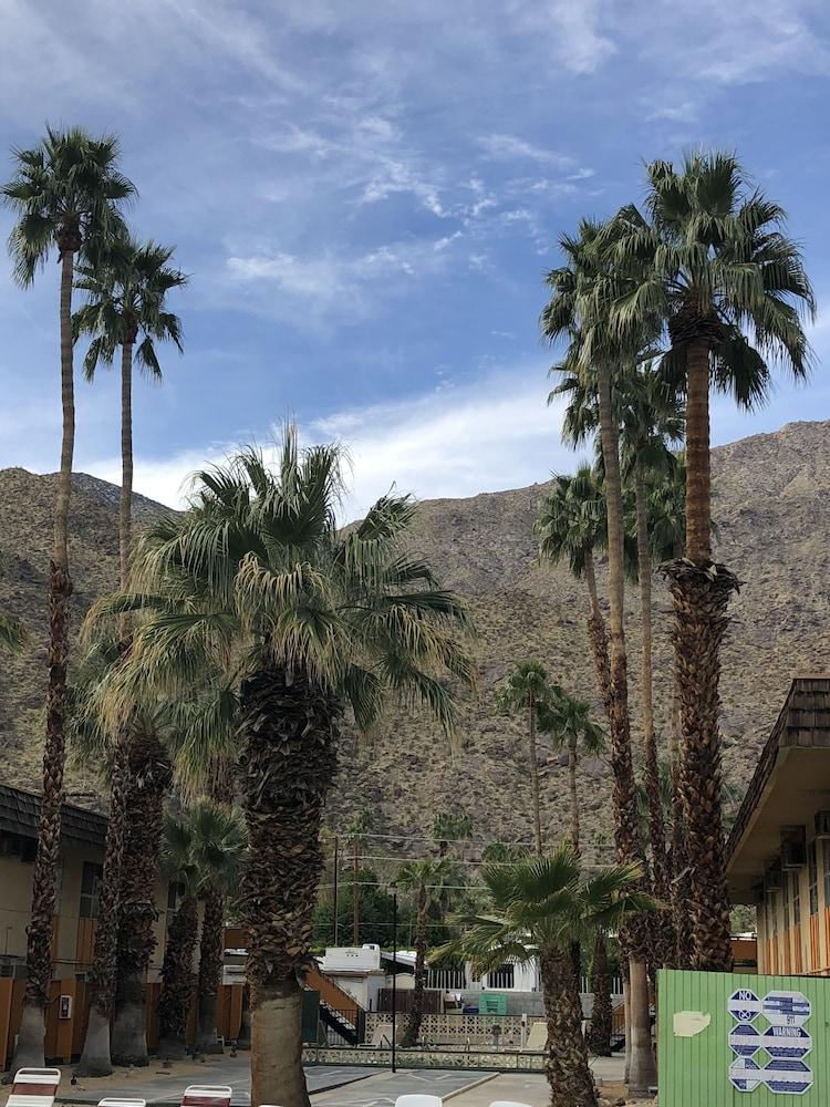 Desert Lodge Palm Springs Buitenkant foto